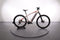 Corratec E-Power X-Vert Pro