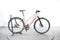 Riese & Müller UBN Seven silent