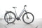 Raleigh Bristol Premium