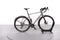 Cube Nuroad Race